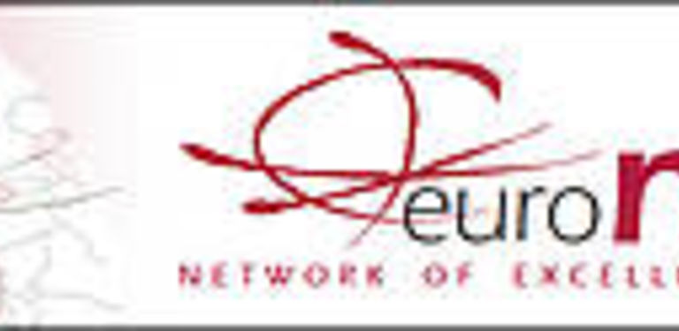 EuroNF - Exzellenznetz "European Network of the Future"
