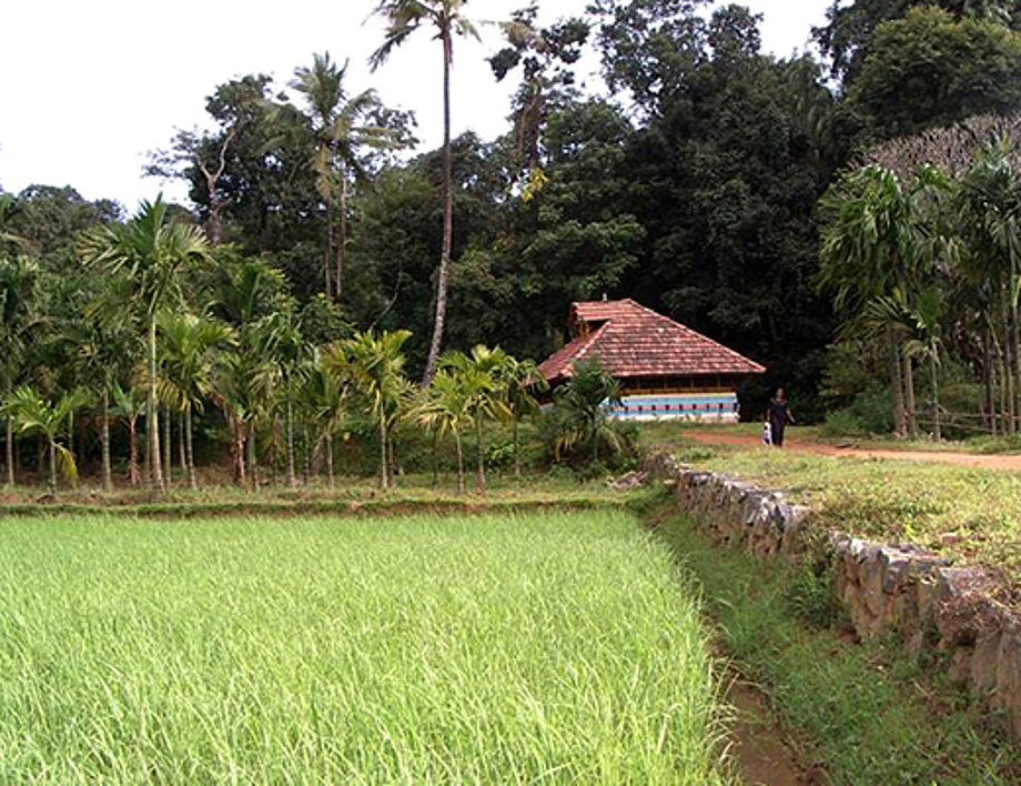 BioDIVA - Nachhaltige Landwirtschaft und Biodiversität in Süd-Indien