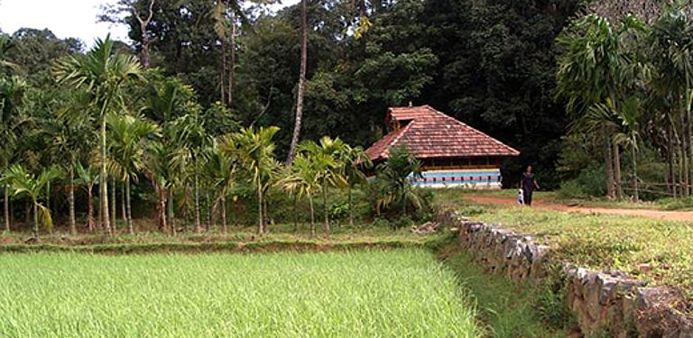 BioDIVA - Nachhaltige Landwirtschaft und Biodiversität in Süd-Indien